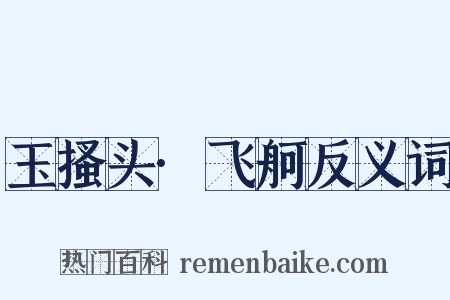 玉搔头·飞舸反义词是什么意思的图片